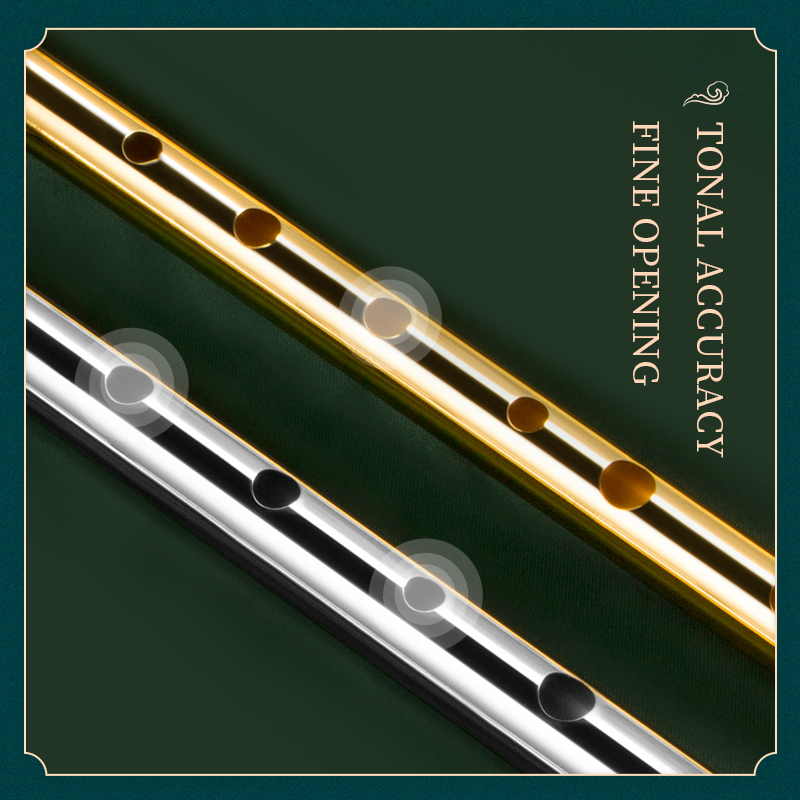 Irish Whistle Flute for Musica - Musical Instrument Irish 评论和价格