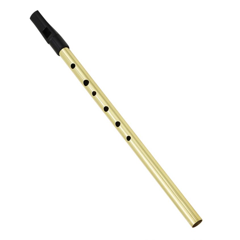 Irish Whistle Soprano Flute D  - Musical Instrument Irish 评论和价格