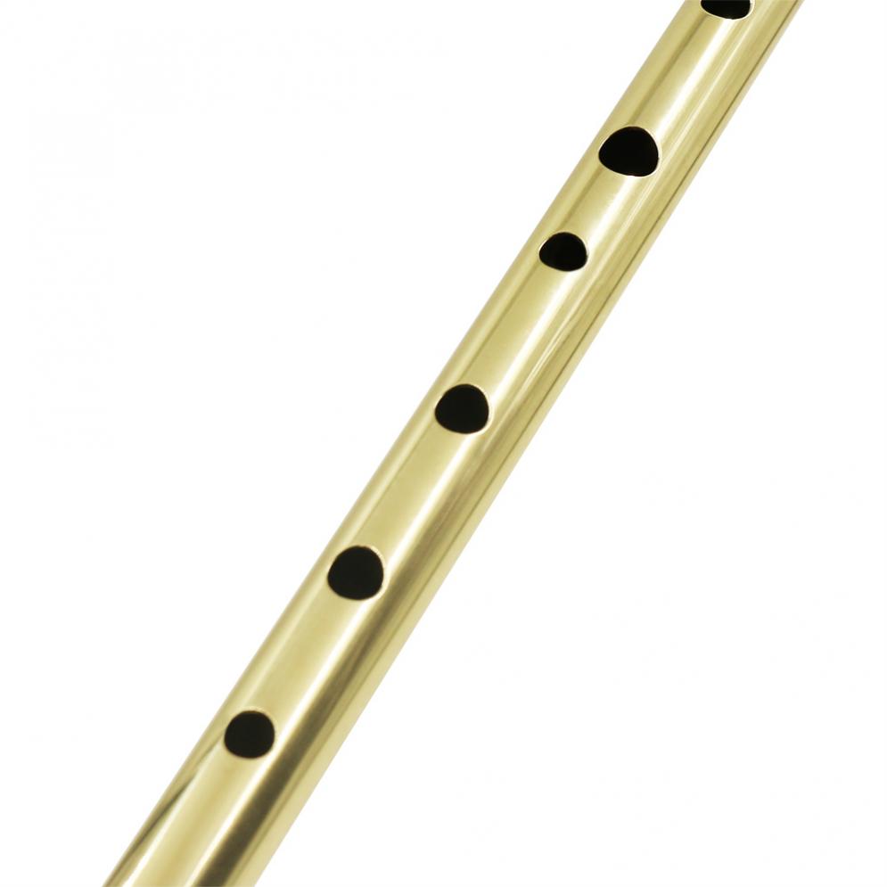 Irish Whistle Soprano Flute D  - Musical Instrument Irish 评论和价格