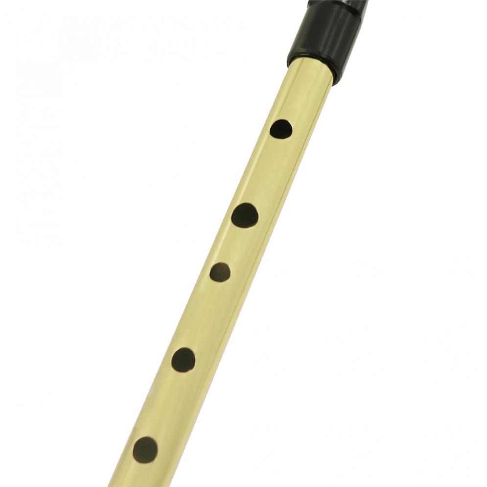 Irish Whistle Soprano Flute D  - Musical Instrument Irish 评论和价格