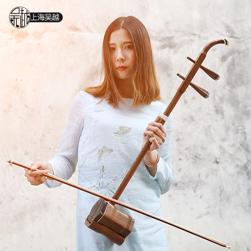 Chinese Folk String Instrument - Musical Instrument Book 评论和价格