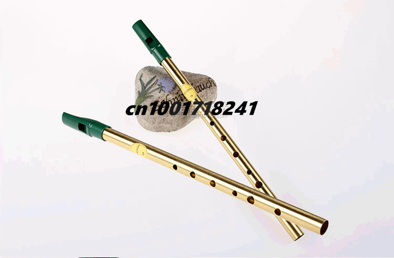 Brass Irish Whistle Flute Fead - Musical Instrument Irish 评论和价格