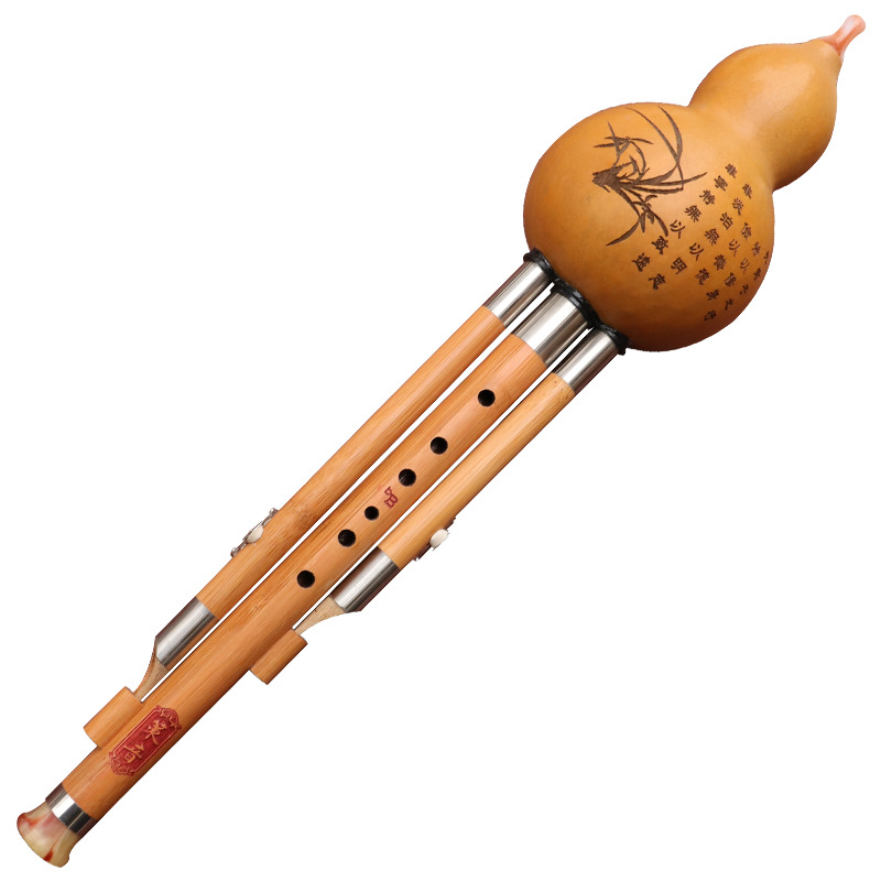 Nanzhu Gourd Silk Musical Inst - Musical Instrument Blow 评论和价格
