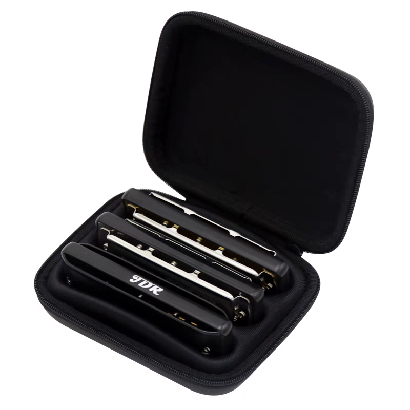 Diatonic Harmonica Case, 10 Ho - Musical Instrument Harp 评论和价格