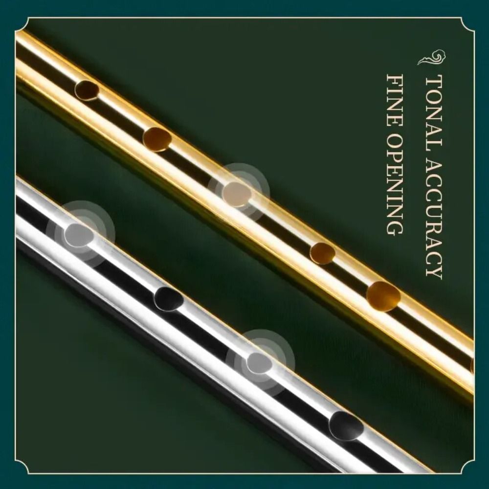 6 Holes C/D Key Irish Whistle  - Musical Instrument Irish 评论和价格