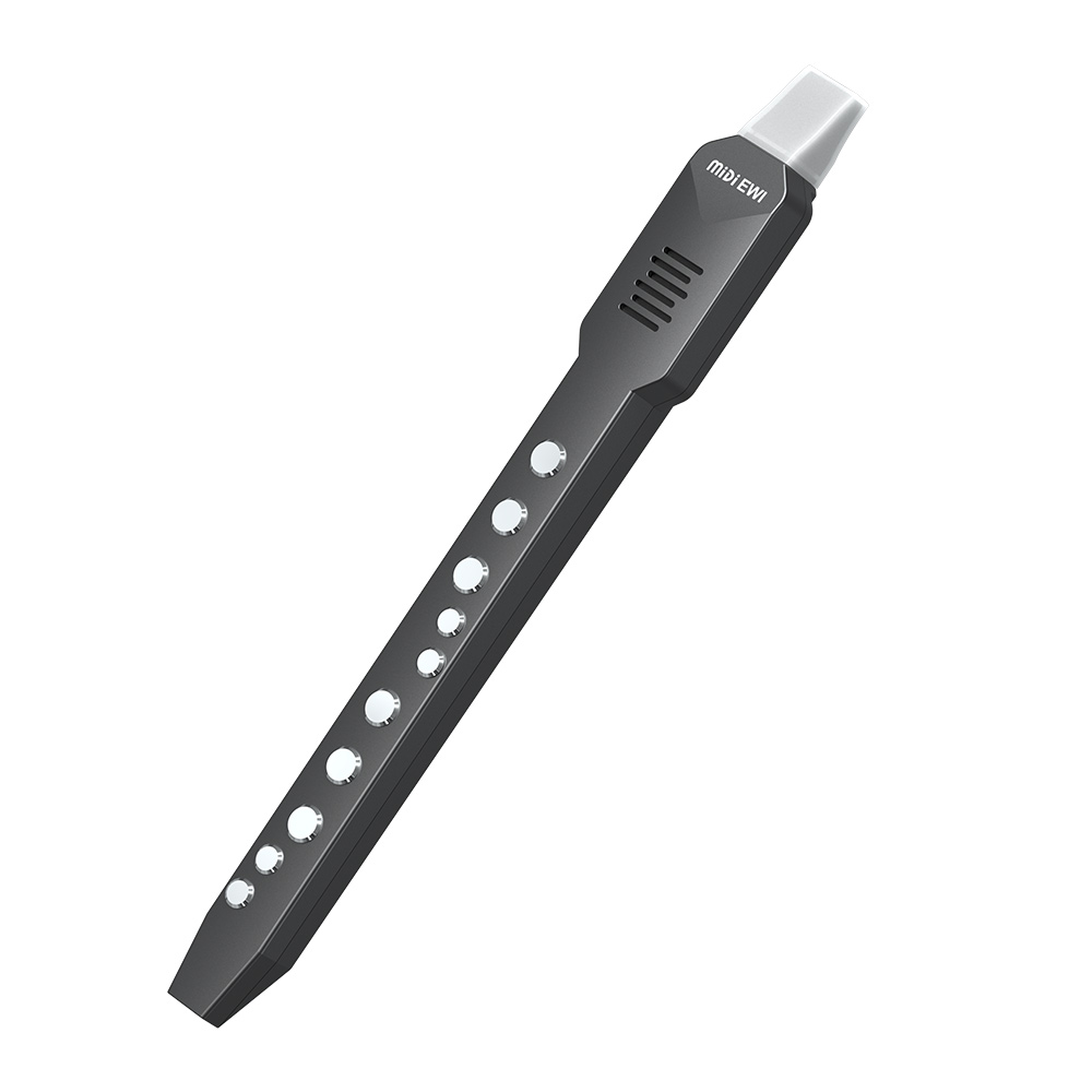 Small Transverse Flute Electro - Musical Instrument Irish 评论和价格