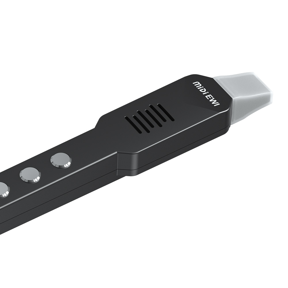 Small Transverse Flute Electro - Musical Instrument Irish 评论和价格